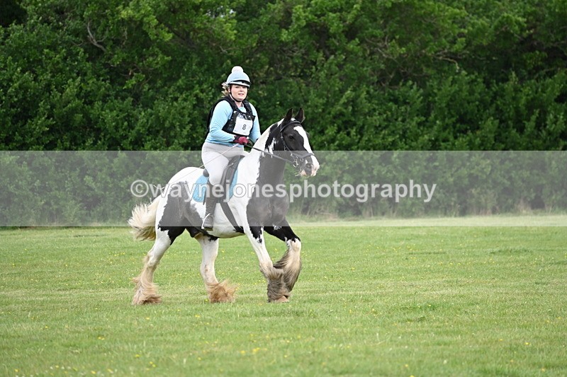 WJ6_2416 - Class 2 40cm