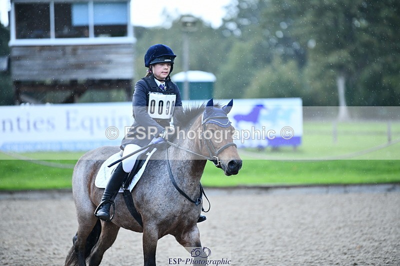 251004A-101008-00377 - Classes 1-2-3 40cm