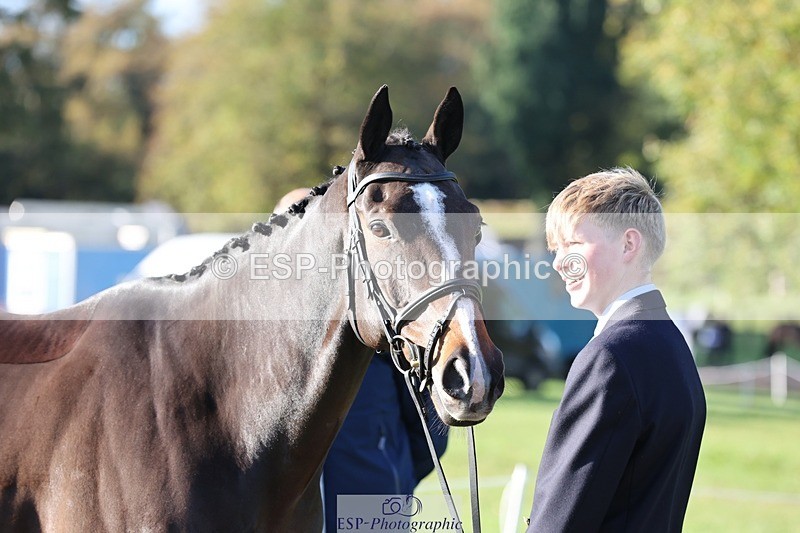 241027-094816-15516 - 542-Tommy.Marsden-HARD.KNOCK.LIFE