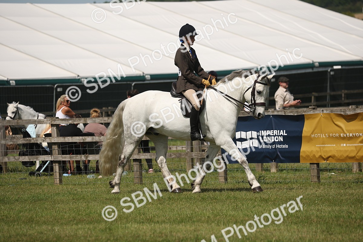 SBM_07580 - Class 26-30 - Mountain and Moorland Ridden