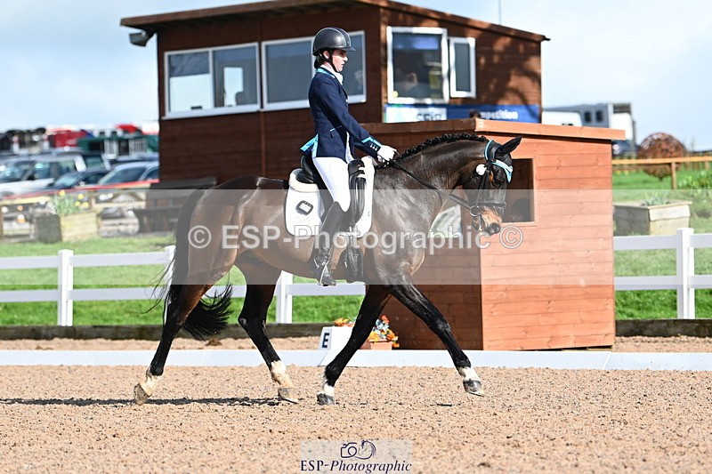 240218A-124334-07303 - 232-Alys.Matravers-VORVASHILL.VERTIGO