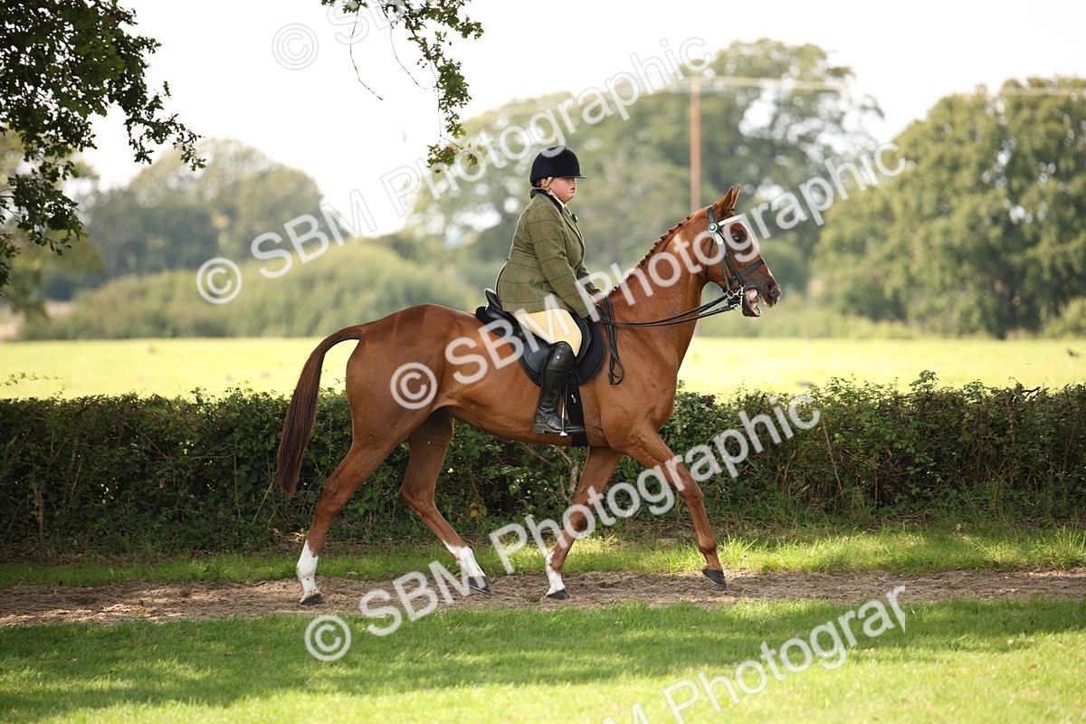 SBM_65914 - S64 - Riding Horse & Hack & Thoroughbred Ridden