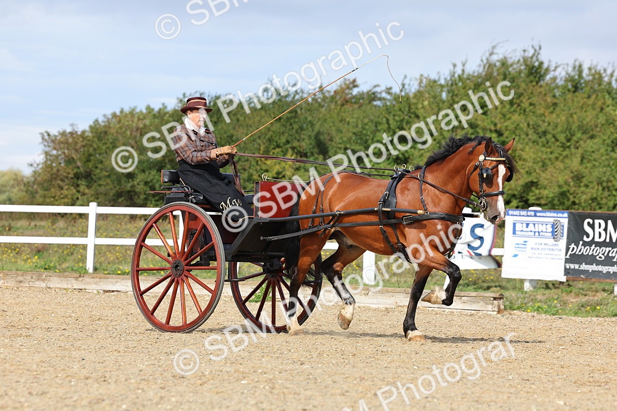 SBM_000900 - Class 8 - Novice Horse or Pony to any vehicle