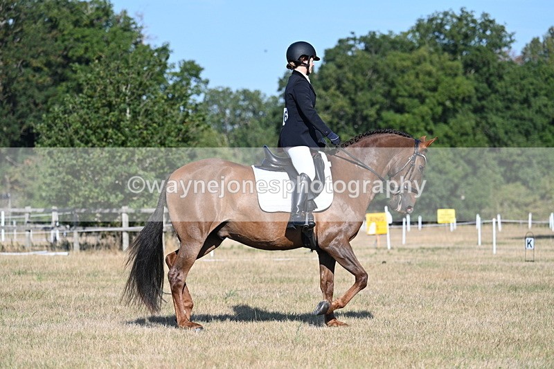 WJ7_8738 - Time 09:00 to 09:24