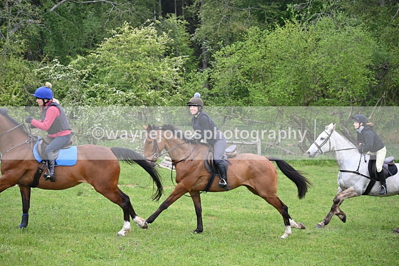 WJ6_2481 - A Camera