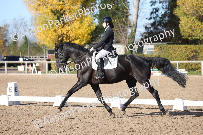 20251102-0765 - Class 4 - Novice 6