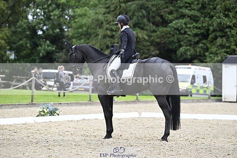 240523-163953-05489 - 445-REGAL_BOUNTY-Felicity_Ward