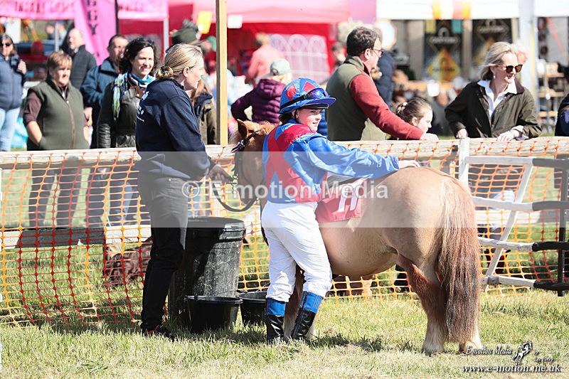 Shet 060426 388 - Shetland Pony Racing Paxford Races Easter Mon 06/04/26