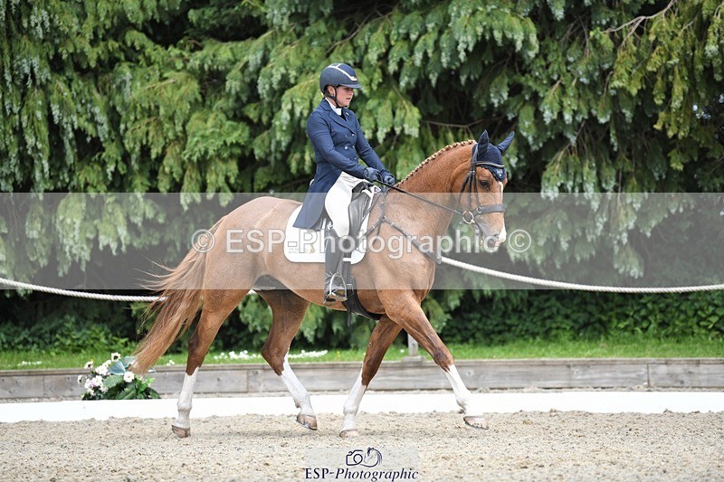 230525-151801-03219 - 308-NEFFECT_S-Kat_Raybould-WEDTrotUp+DR