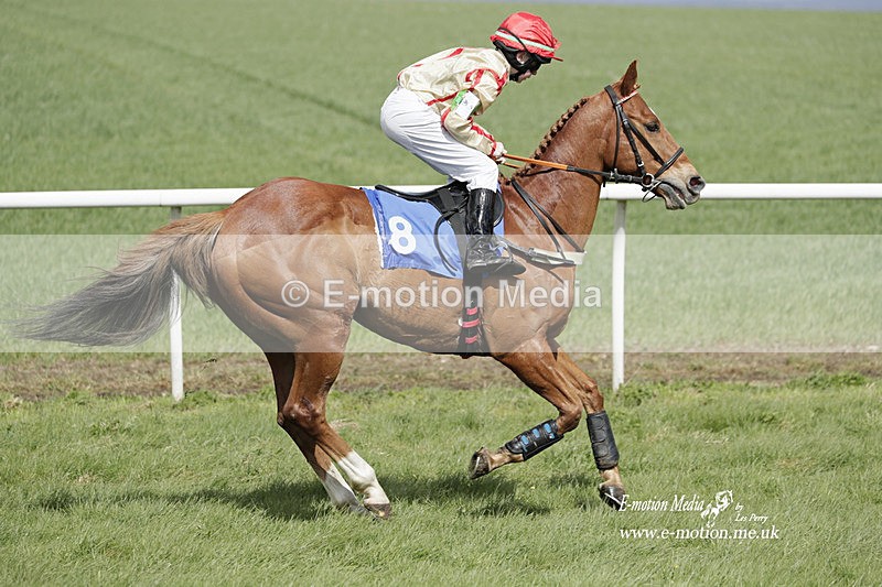 PtP PR 100423 325 - Pony Racing Lockinge 100423