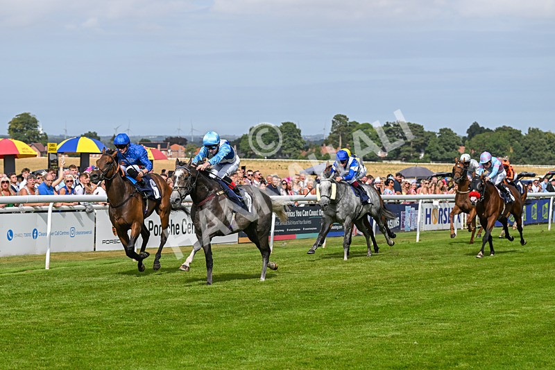 140824-Race 5-Havana Blue-6679 - Race 5