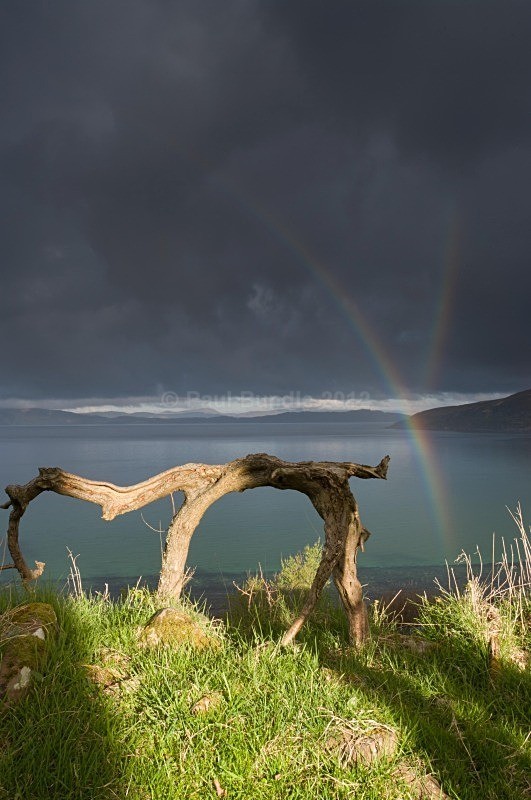 from the Suns Rising 38 of 50 - 'From the Sun's Rising...' Exhibition Prints