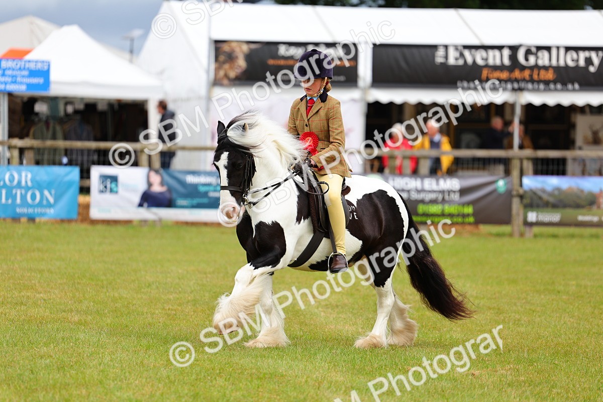SBM_02631 - Class 9-11 Side Saddle including LIHS Rising Star Ladies Show Horse