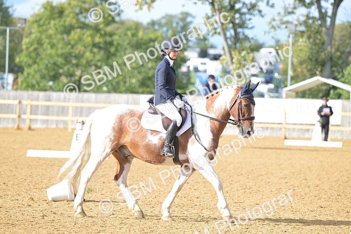SBM_12916 - D3 - Small Tour Championship Intro 3