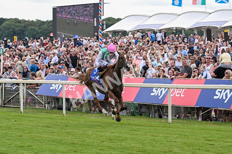 250726-Race 3-Item-7057 - Race 3 14.35pm Sky Bet York Stakes