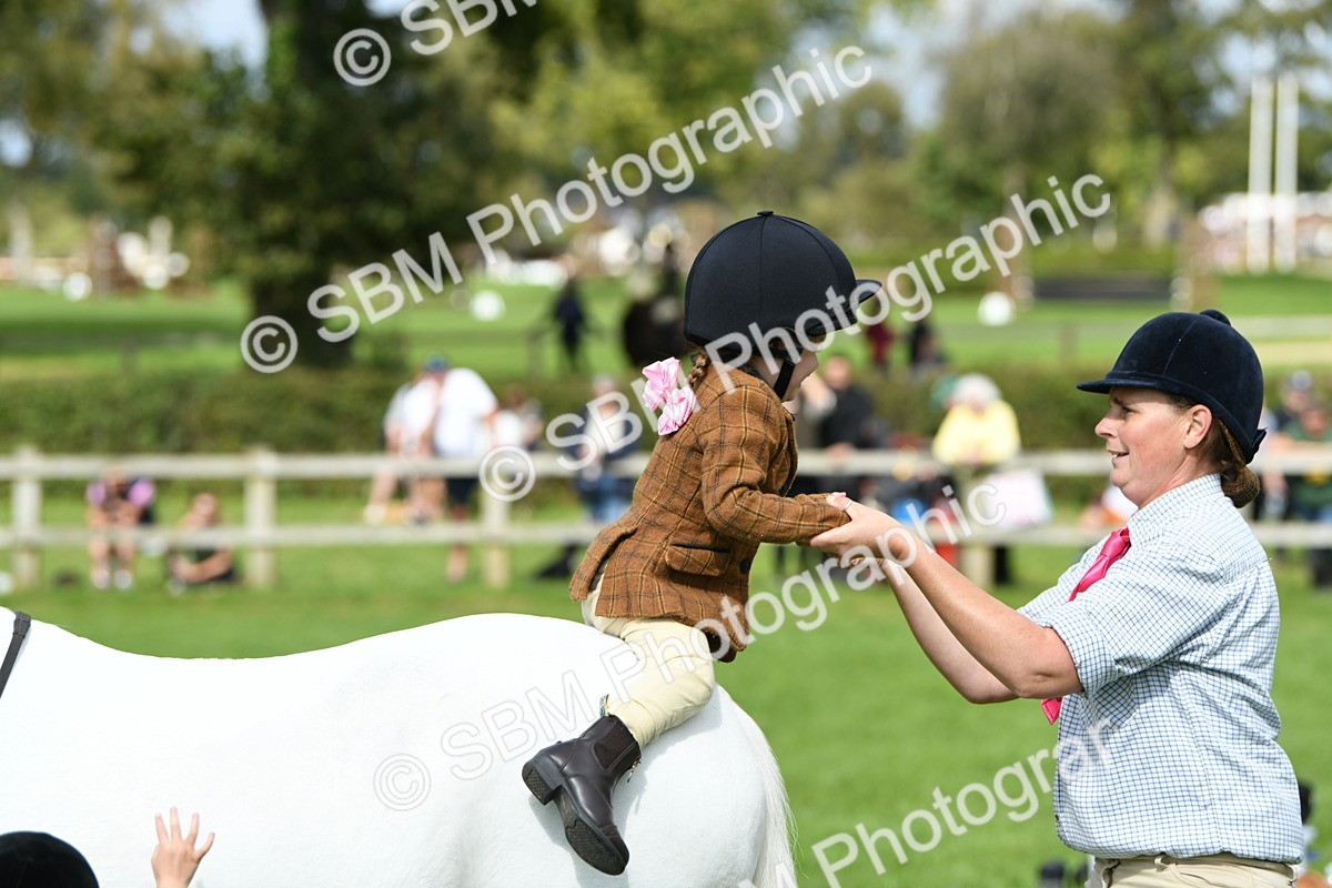 SBM_46801 - S12 - Family Horse & Pony