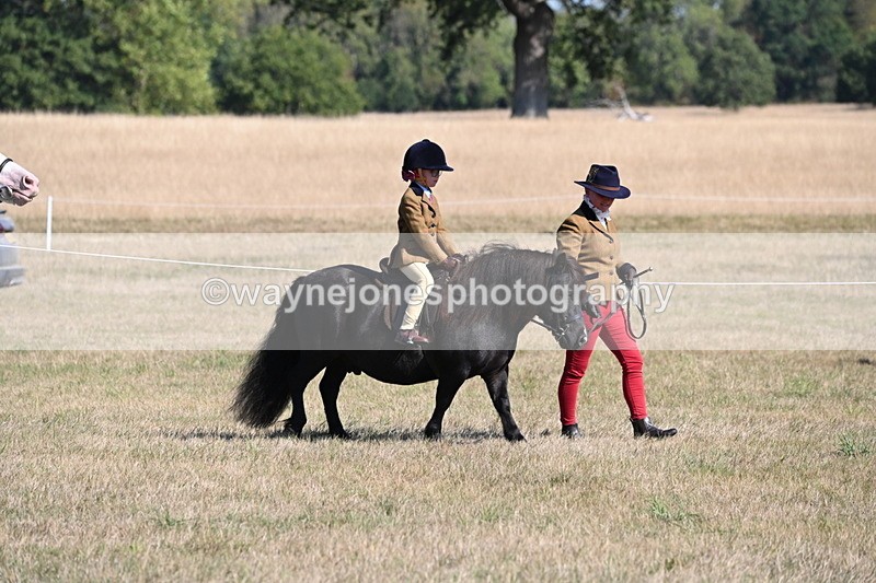 WJ6_7387 - Class 34 Judges Choice