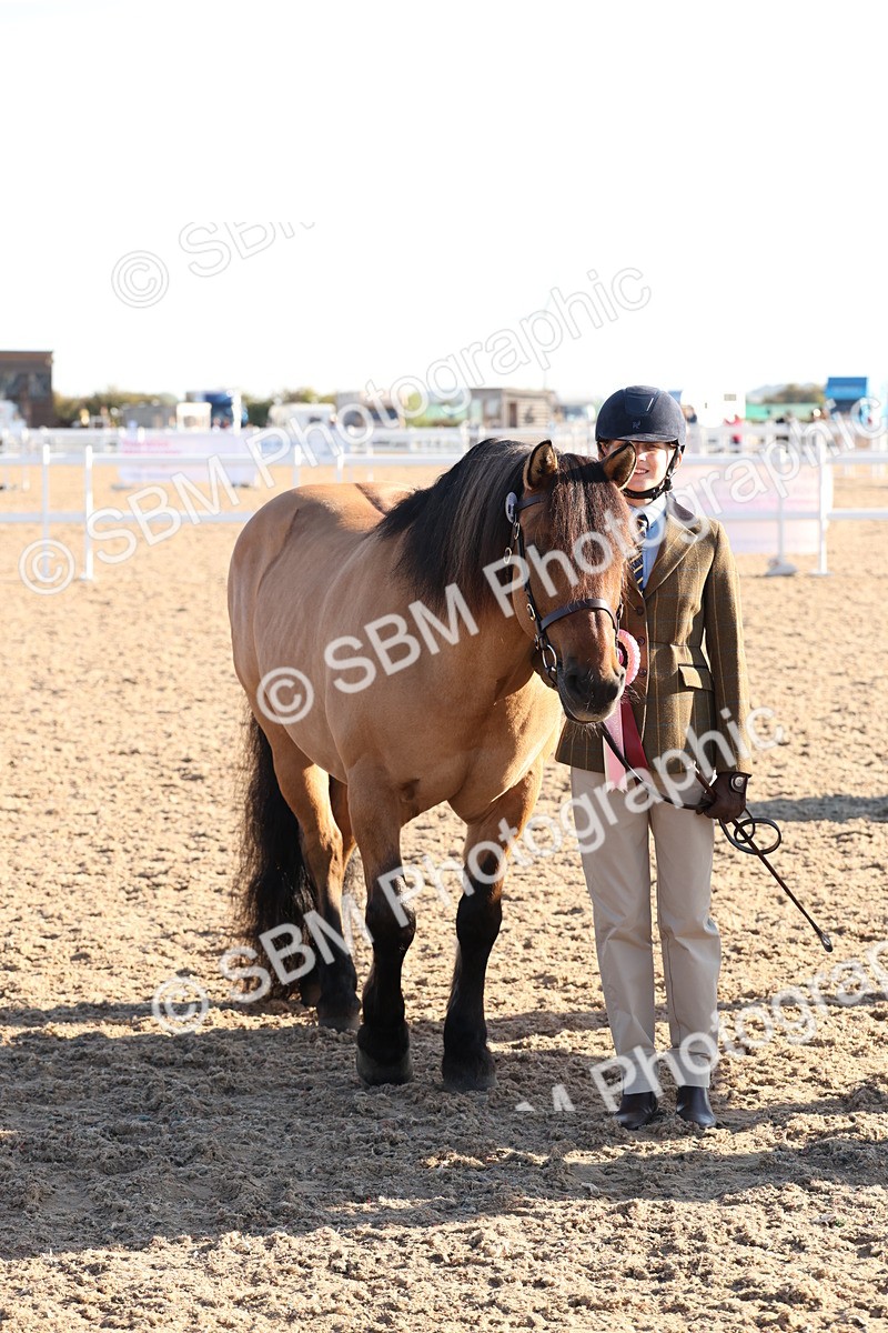 SBM_10808 - Class 201 - Best Turned Out - IH