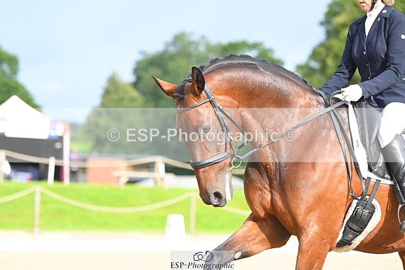 230813-083229-05633 - Cls 12 Elem Silver Start to 10.10 break