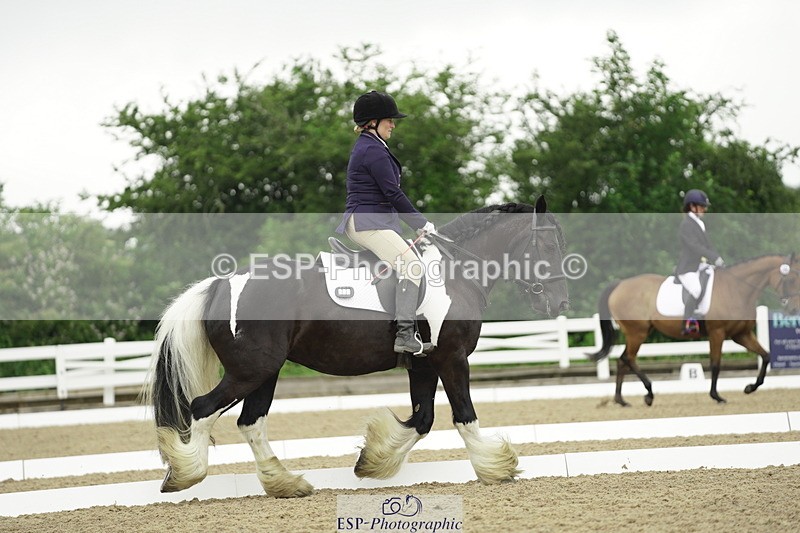 230708A-100116-00270 - Intro C