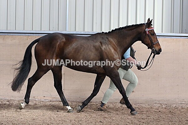 SIAL9775 - Indoor Classes