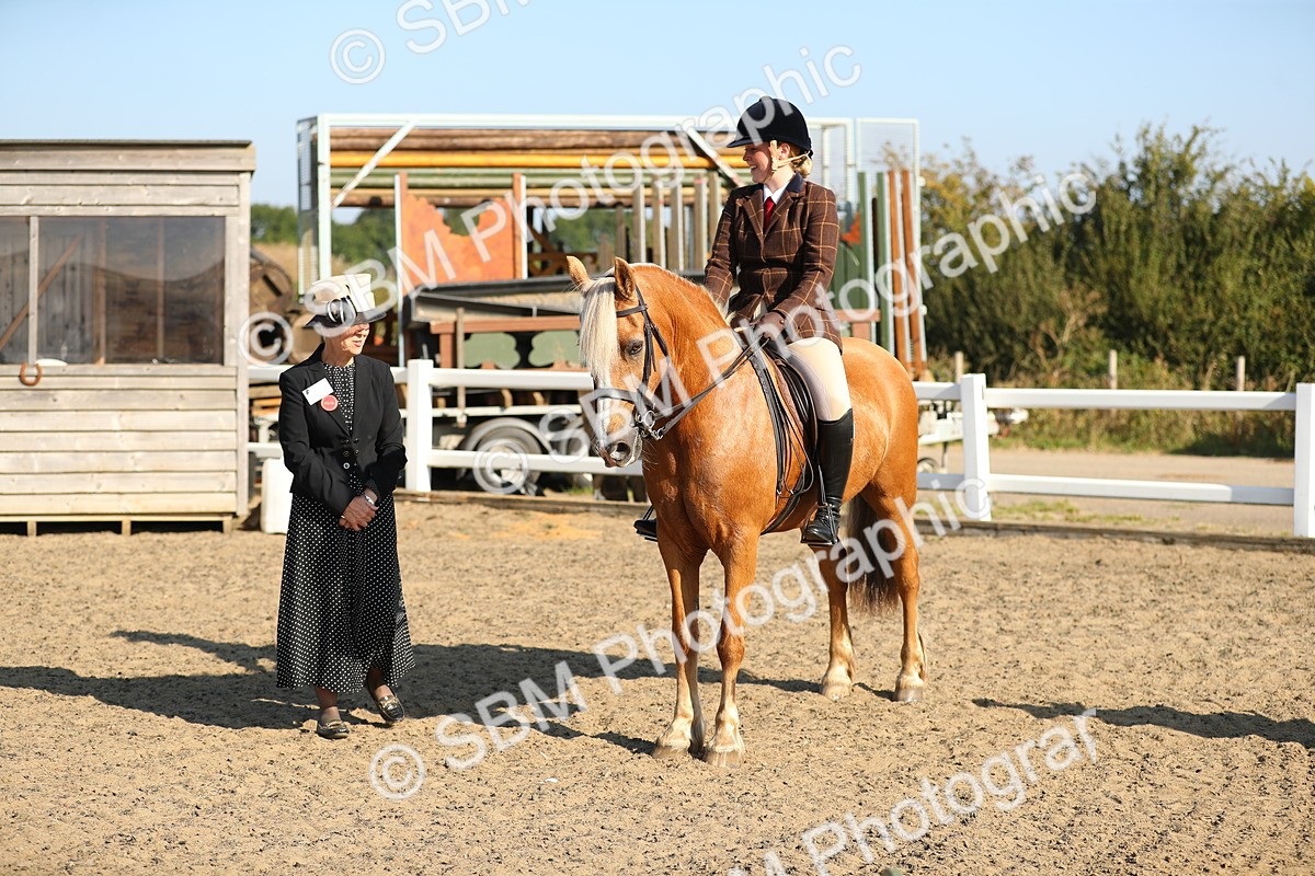 SBM_01190 - Class 42 Ridden Veteran