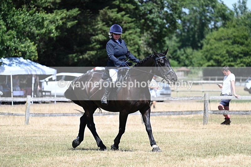 WJ7_2947 - Class 7 Riding Club Show Horse