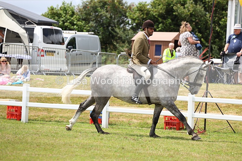 3E7A1953 - Class 10: Open Cob