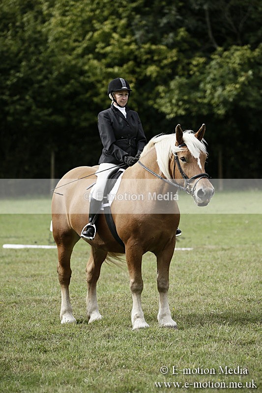 BVR080918 146 - BVRC Novice Dressage & CR 08/09/18