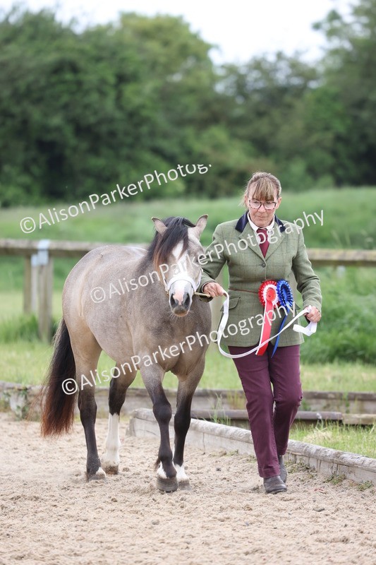 20250524-1068 - Championship