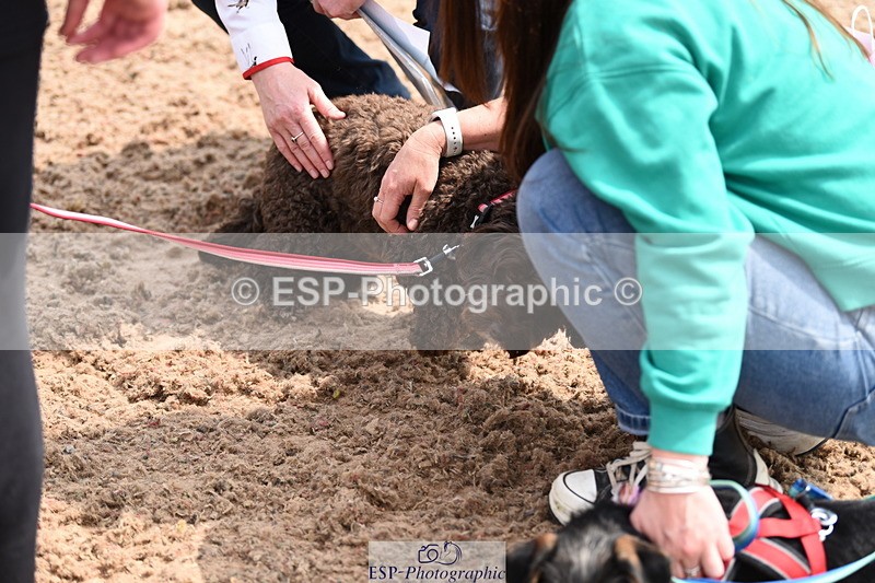 240518A-114728-00826 - Cls 2 Prettist Bitch