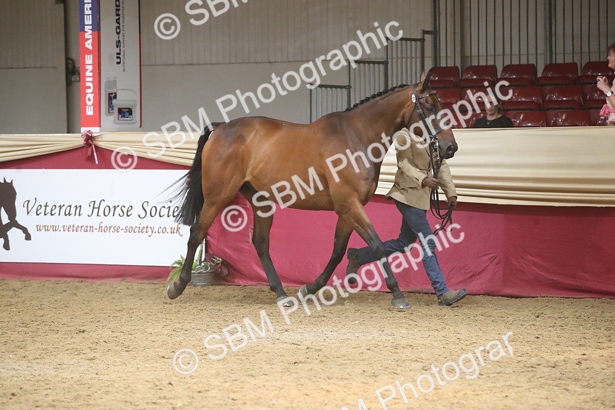 SBM_05524 - Class 9R - Regional IH Pre-Vet