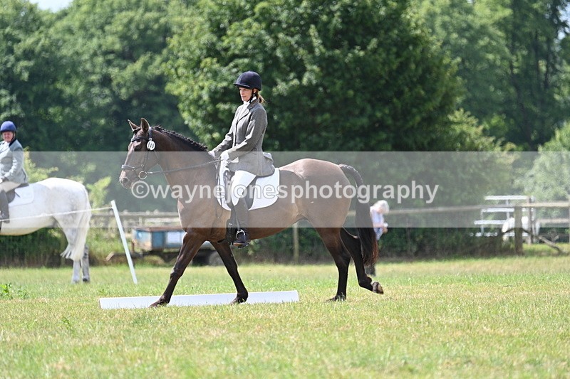 WJ7_4838 - Time 11:22 to 11:51