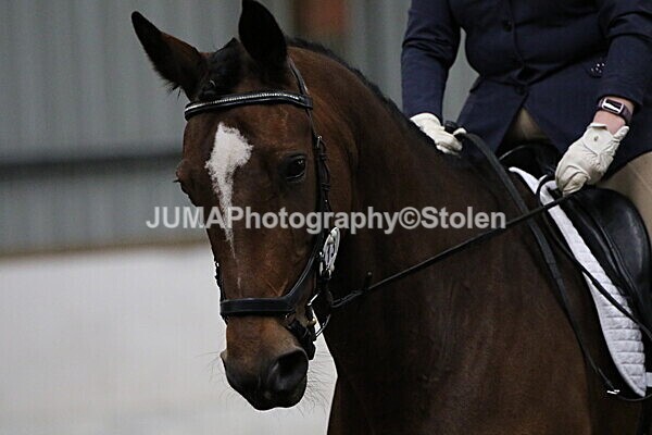 SIAL4419 - CAbin Dressage 5th july 2025