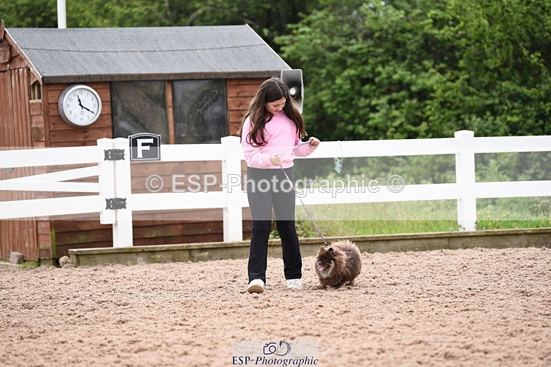 240518A-112014-00745 - Cls 1 Cutest Puppy