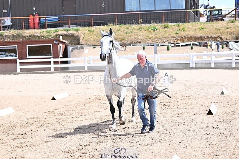 250716-124646-00160 - Trot Up 12.30 to 1.30