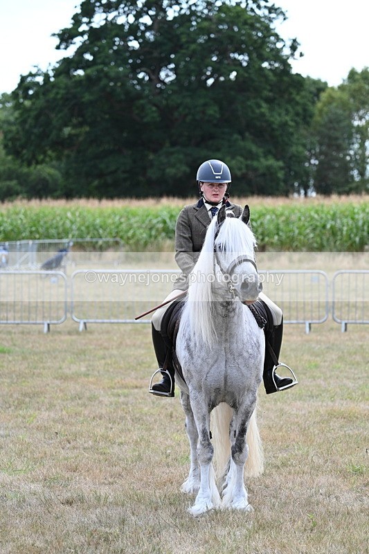 WJ7_5517 - Class 12 Ridden Cob