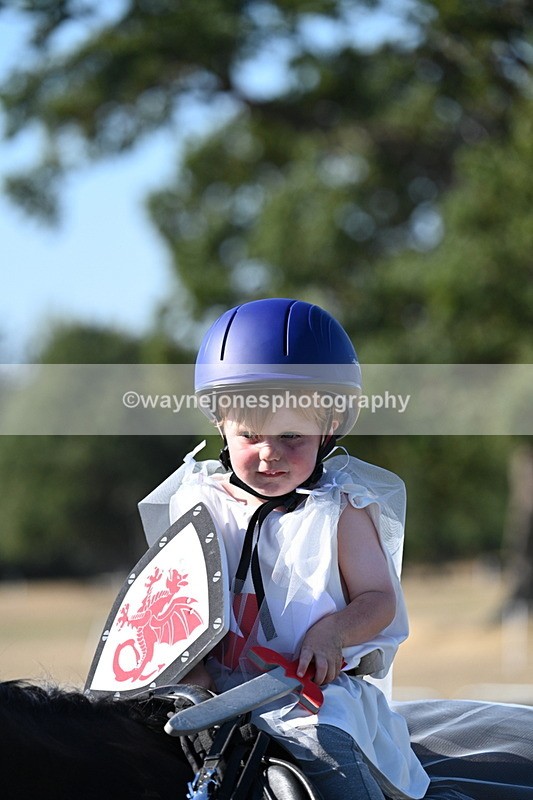 WJ7_2687 - Class 45 Fancy Dress (My Fav)