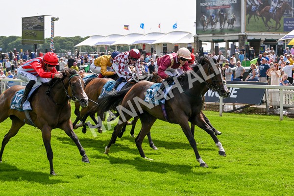 130625-Race 3-Easy Peeler-9030 - Race 3 3.00pm British EBF Supporting Racing With Pride Fillies' Handicap