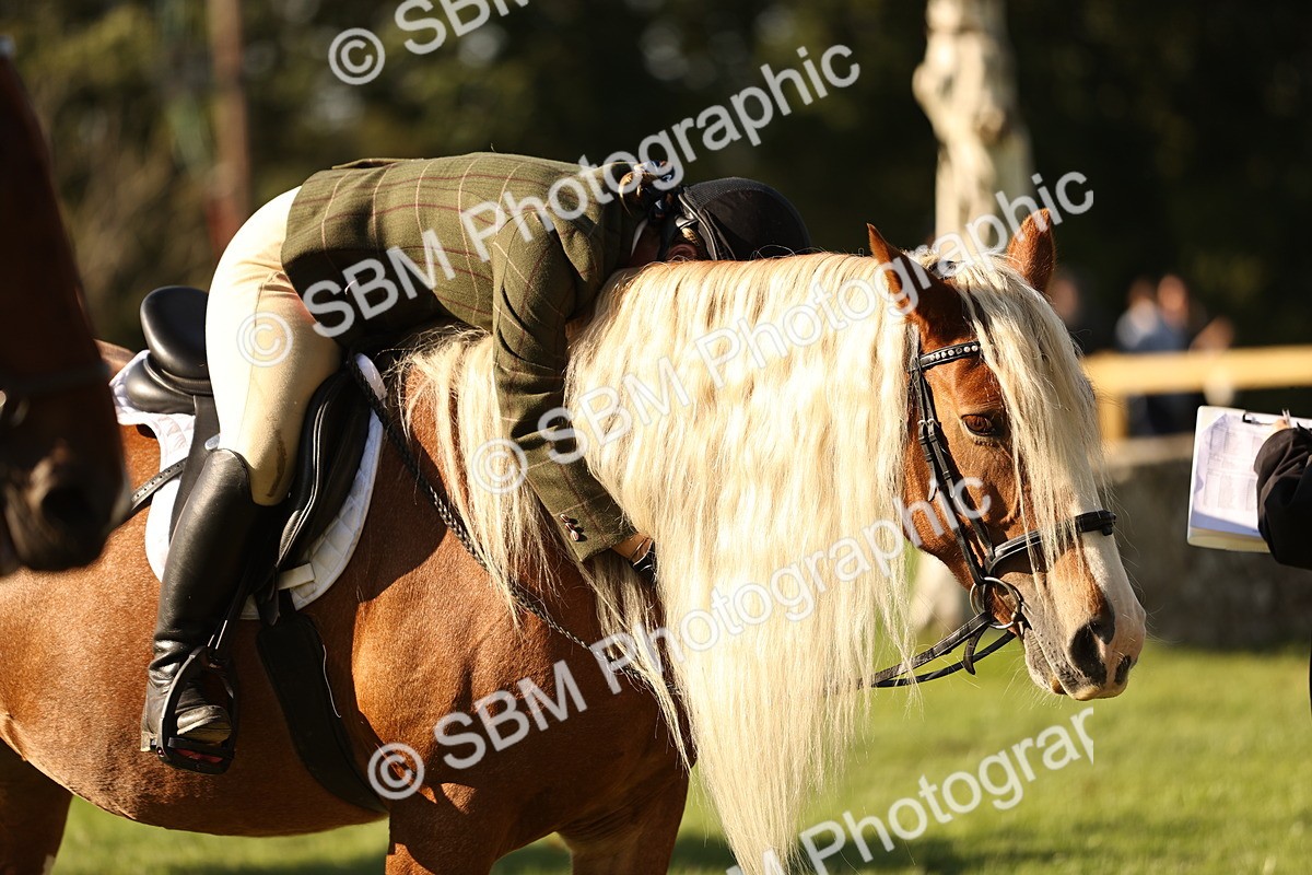 SBM_26468 - S6 - Novice & Newcomers Ridden Horse