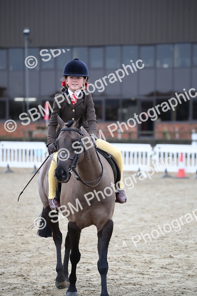 SBM_004670 - Class 5-9 - NPS In Hand-Show Hunter-Intermediate Ridden Inc Ridden Championship