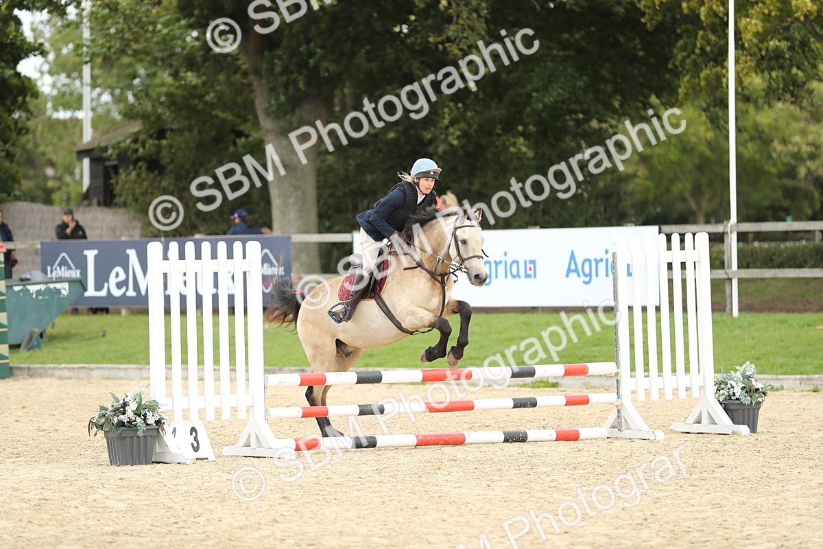 SBM_06308 - J29 - Senior Horse & Pony 65cm Championship