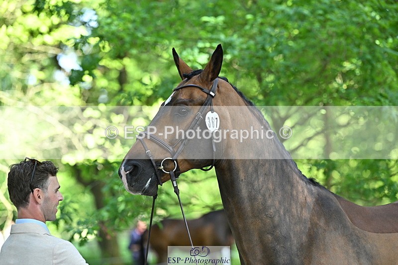 250521A-154753-00770 - B-367-Tom.Grant-QUID