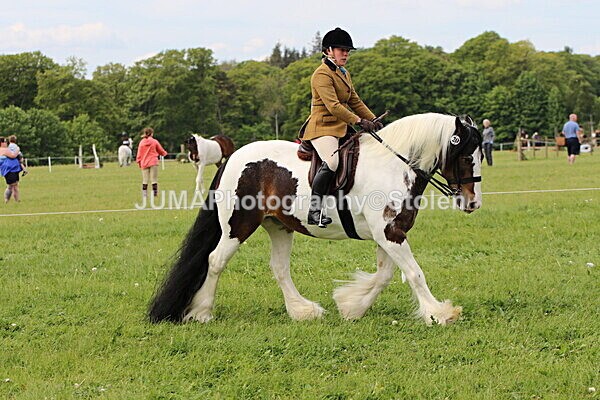 SIAL3245 - Ring 3 and 4