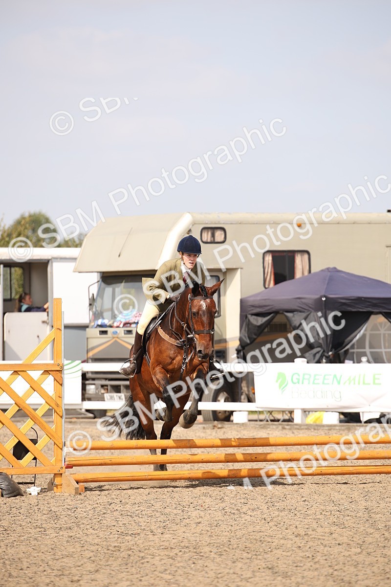 SBM_14350 - Class 407b - Working Veteran 60cm (20+)