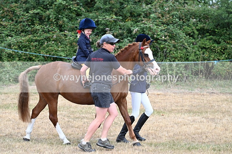 WJ7_9655 - Class 1 Lead Rein Pony