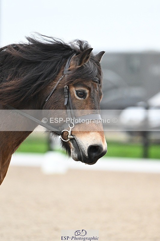 241103-084935-00071 - Intro 3 - 8.30 to 9.30