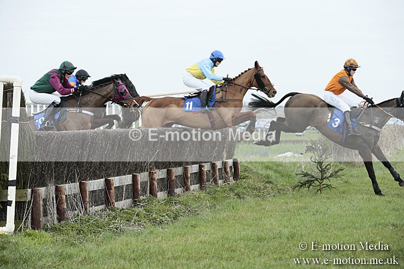 PtP 230319 118 - VWH Hunt Siddington Point-to-Point Racing 23/03/19