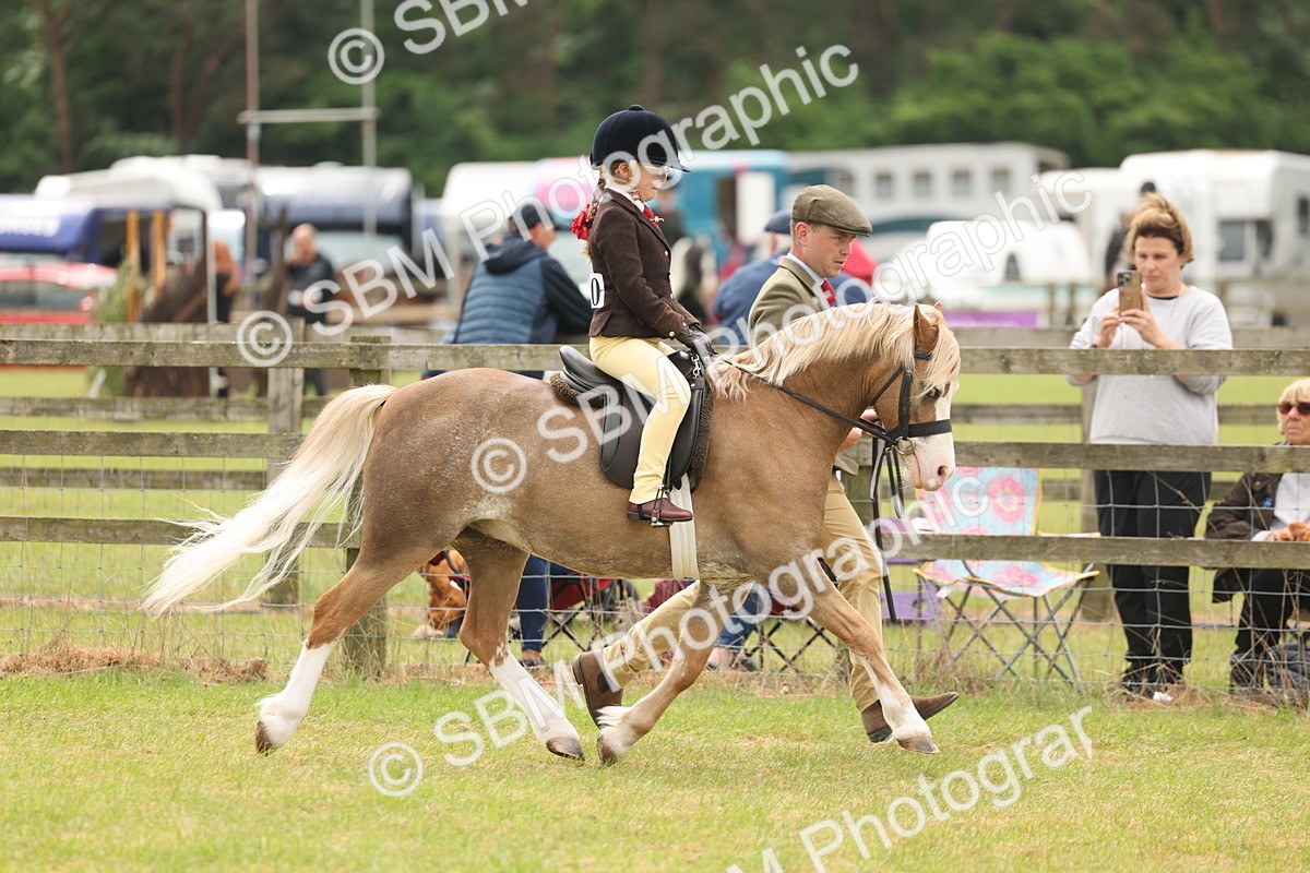 SBM_06646 - Class 74-75 - M&M Lead Rein and First Ridden Pony