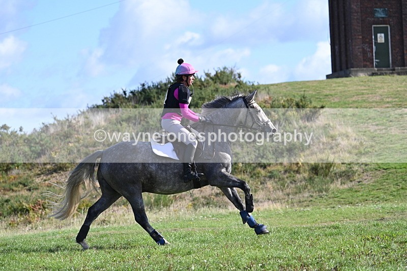 WJ7_9731 - Time 10:47 to 11:01